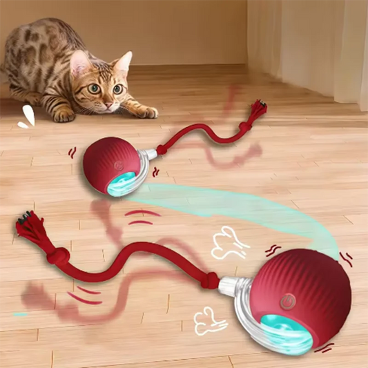 Smart Automatic Interactive Moving Cat Ball Toy